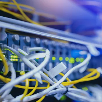 Câbles réseau branchés sur un switch