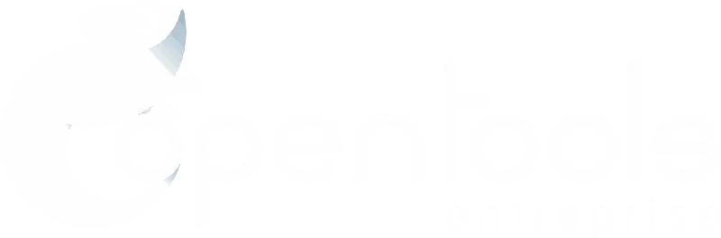 Opentools Entreprise